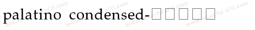 palatino condensed字体转换